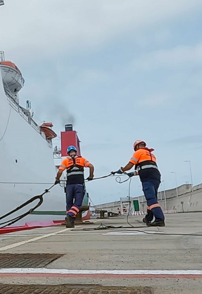 Póster de Control de puertos