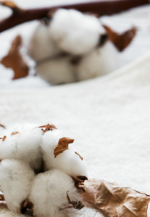 Póster de , Jaulas de salida en rodeos · Así se hace: Algodón