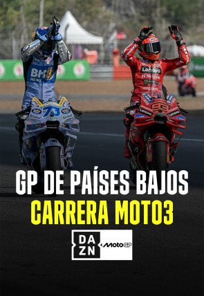 Póster de MotoGP - GP de Países Bajos:  Carrera Moto3