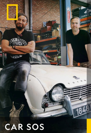 Póster de Car S.O.S.: Peugeot 504