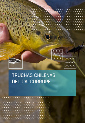 Truchas chilenas del Calcurrupe en la programación de Caza y Pesca HD (Ocio y Aficiones)