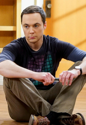 Imagen de la serie Big Bang