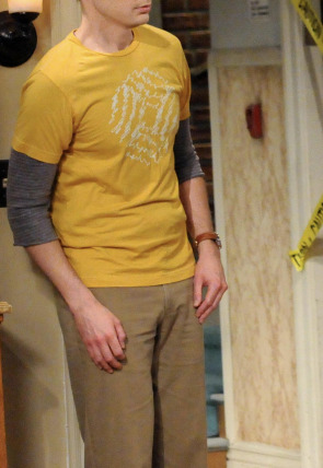 Big Bang T5 E9 · La difusión de la ornitofobia en la programación de Warner TV HD (Series)