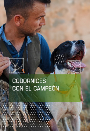 Codornices con el campeón en la programación de Caza y Pesca HD (Ocio y Aficiones)