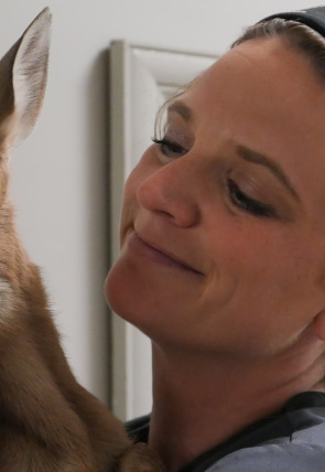 Veterinarios de Nebraska T4 · Una vida maraciervosa en la programación de Nat Geo Wild HD (Entretenimiento)