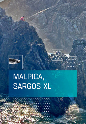 Malpica, sargos XL en la programación de Caza y Pesca HD (Ocio y Aficiones)