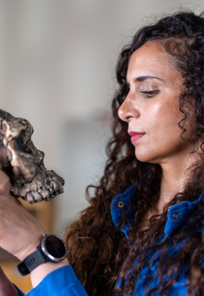 Póster de Human: la historia del ser humano · El origen de los humanos