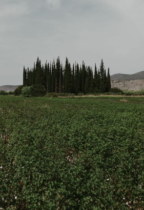 Póster de Crónica negra de la Antigua Grecia