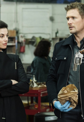 Hudson y Rex T4 E10 · Diamantes de sangre en la programación de AXN HD (Series)