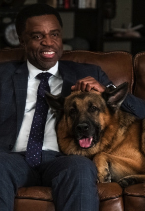 Hudson y Rex T4 E13 · Las rosas de Signal Hill en la programación de AXN HD (Series)