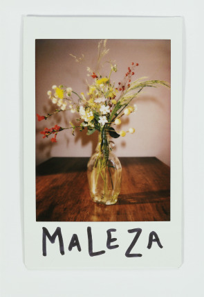 Maleza en la programación de M+ Comedia HD (Cortometrajes)