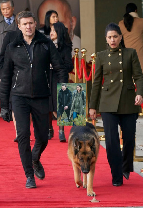 Hudson y Rex T4 E12 · Ningún hombre es una isla en la programación de AXN HD (Series)