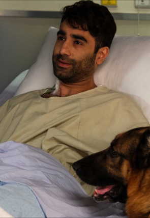 Hudson y Rex T4 E14 · Hagan hueso en la programación de AXN HD (Series)