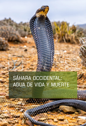 Sáhara occidental: Agua de vida y muerte en la programación de Caza y Pesca HD (Ocio y Aficiones)