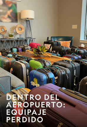 Póster de Dentro del aeropuerto: equipaje perdido · Un gato desfilando por la pista y un vestido para desfilar