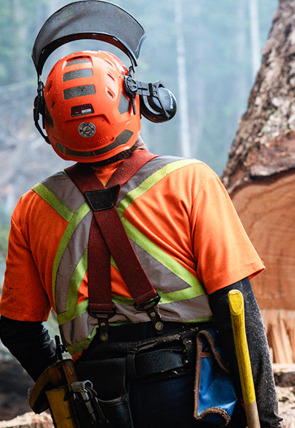 Carátula de Los últimos leñadores