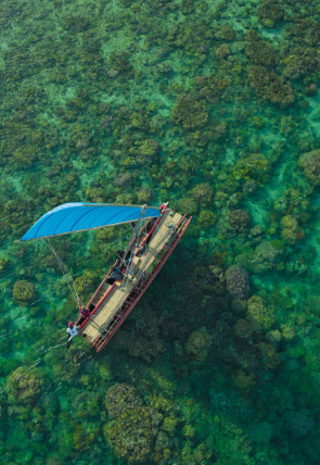 Póster de De polo a polo con Will Smith · El Amazonas: criaturas letales