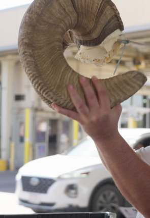 Póster de Control de aeropuertos: USA · Brillante, blanca y letal