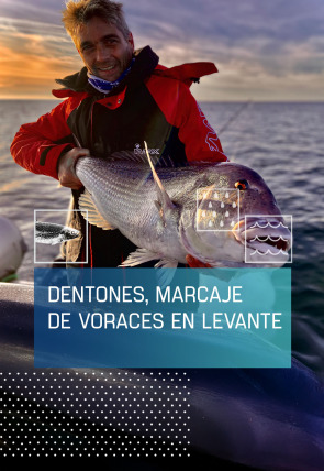 Dentones, marcaje de voraces en Levante en la programación de Caza y Pesca HD (Ocio y Aficiones)