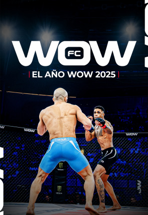 Póster de El año WOW 2025