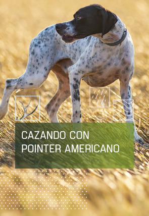 Cazando con pointer americano en la programación de Caza y Pesca HD (Ocio y Aficiones)