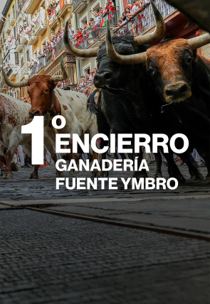 Póster de Vive San Fermín