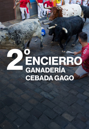 Carátula de Vive San Fermín