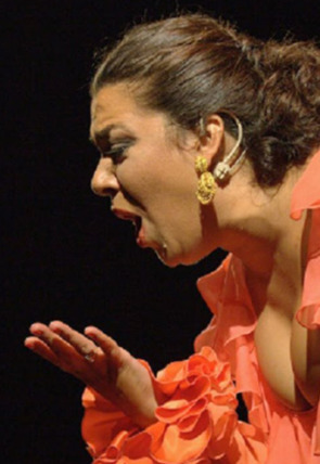 Lo Flamenco