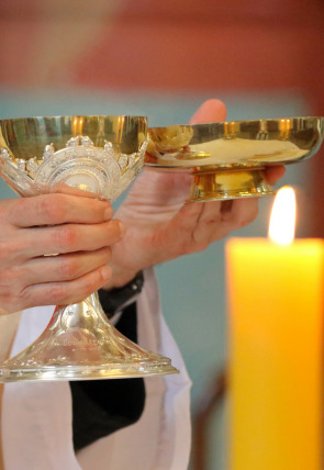 Carátula de Santa Misa Domingo de Ramos y Ángelus