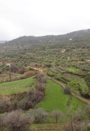 Póster de El escarabajo verde: Al borde del abismo 3