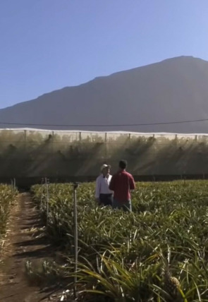 Póster de Andaluces por España