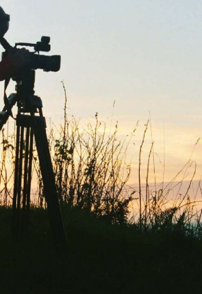 Póster de El mundo del vino