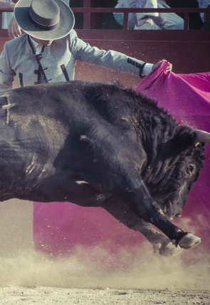 Póster de Toros