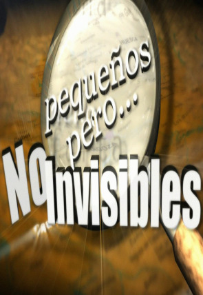 Póster de Pequeños, pero no invisibles · Cortes de Aragón y Cinco Olivas