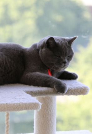 Animales: amigos increíbles · Un amigo en apuros en la programación de Aragón TV (Documentales)