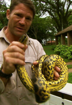 Póster de Fauna letal: Panamá