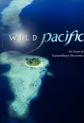 Póster de Pacífico Sur: Un océano infinito