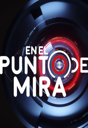 Póster de En el punto de mira