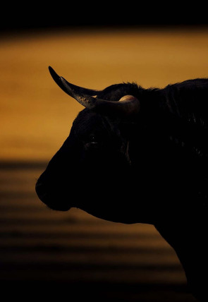Póster de Toros desde Huelva