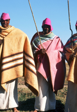 Póster de Inside Africa