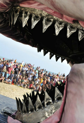 Carátula de La leyenda del Megalodón