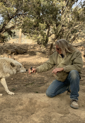 Carátula de ¿Cómo lo hacen? Mundo animal · Cena mortífera