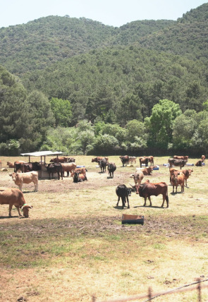 Póster de Granjas en acción