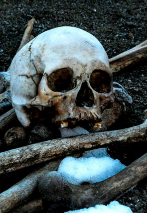 Póster de Arqueología en el hielo · Hamin Mangha