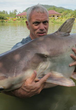 Carátula de Monstruos de río: Monstruo en el Congo