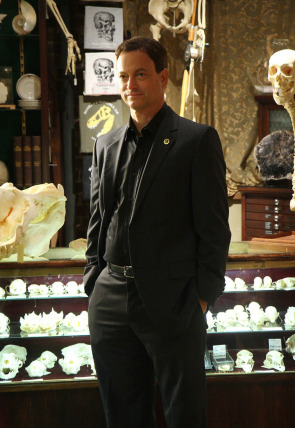 Carátula de C.S.I. NY