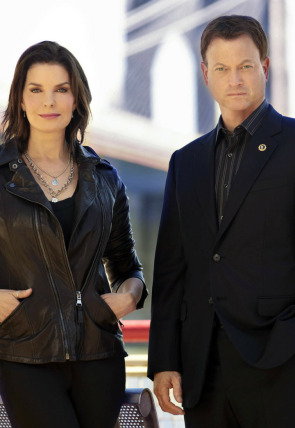 Carátula de C.S.I. NY