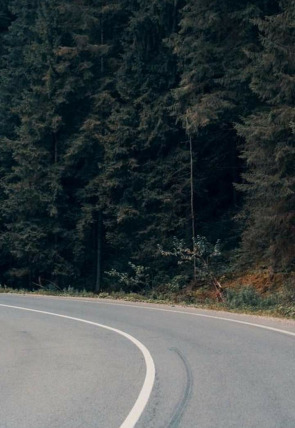 Póster de UCI Women World Tour:  Gante - Wevelgem F