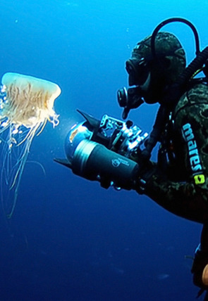 Póster de Thalassa curts: Ramon Margalef: el pare de lecologia