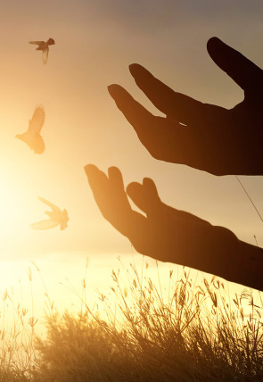 Carátula de San Pablo de la Cruz